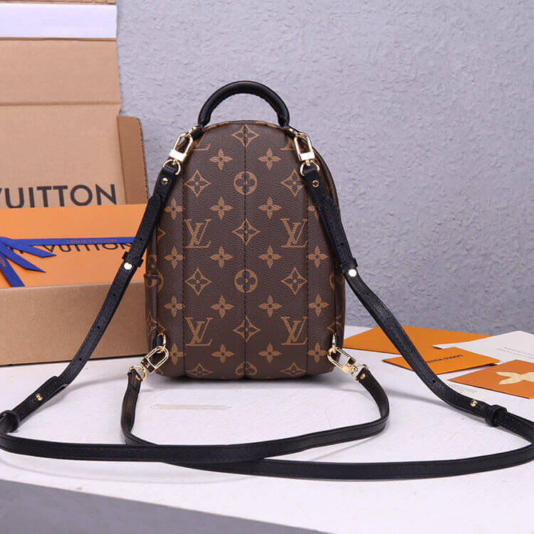 LV Palm Springs Mini Backpack M44873