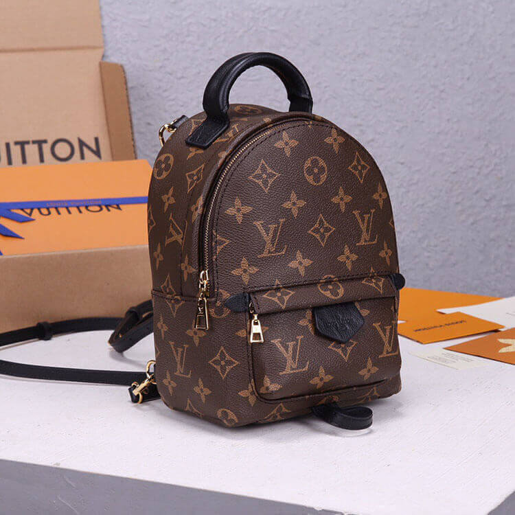 LV Palm Springs Mini Backpack M44873