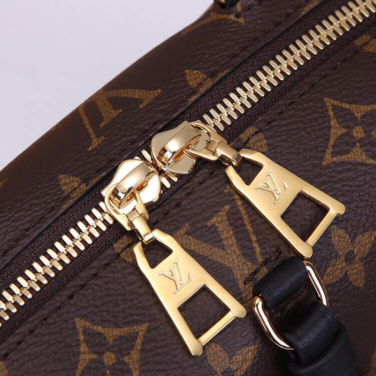 LV Petite Malle Souple Handbag M45571