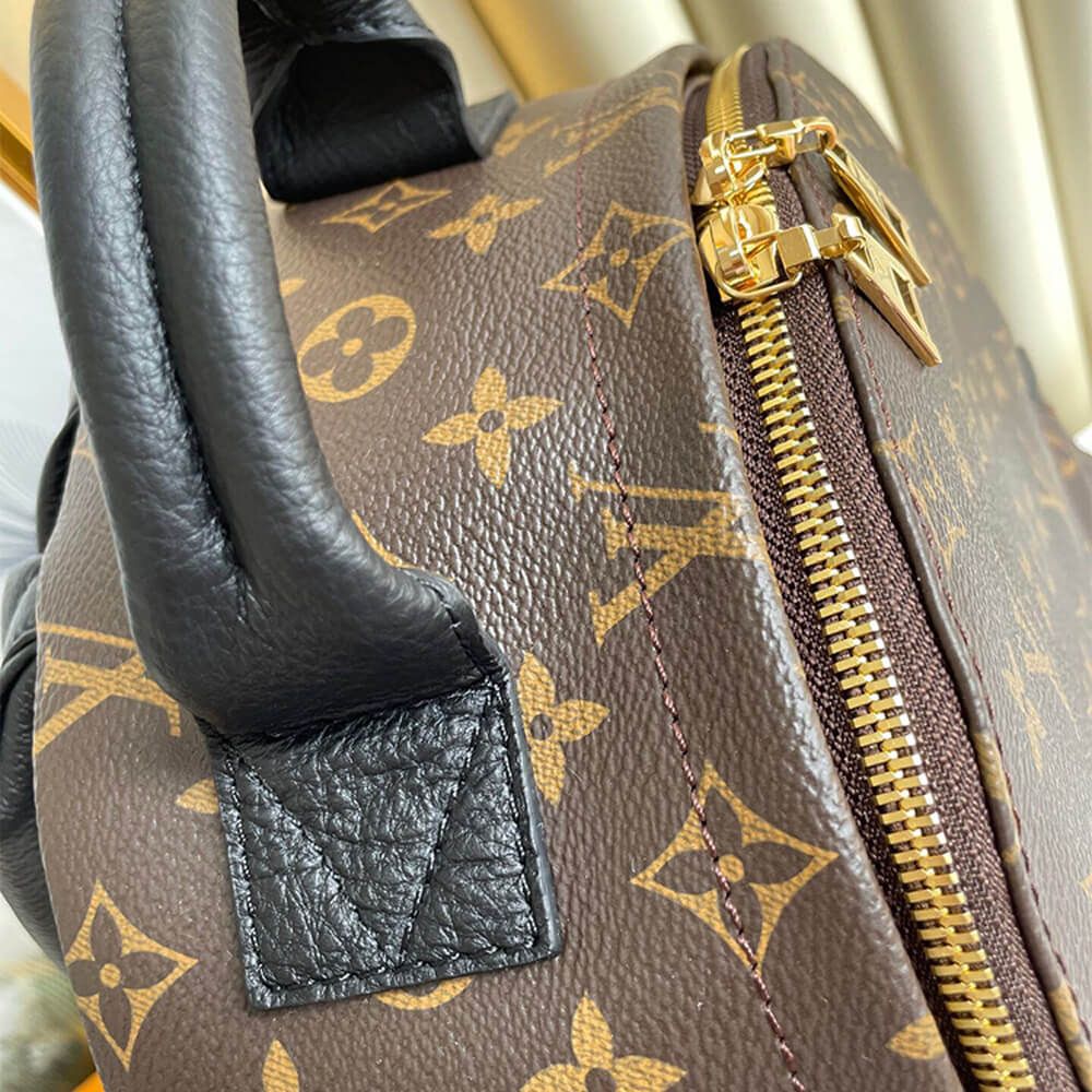 Louis Vuitton PALM SPRINGS MM M44874