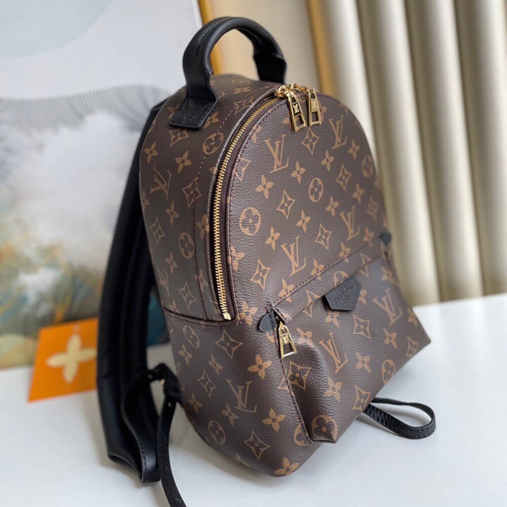 Louis Vuitton PALM SPRINGS PM M44871