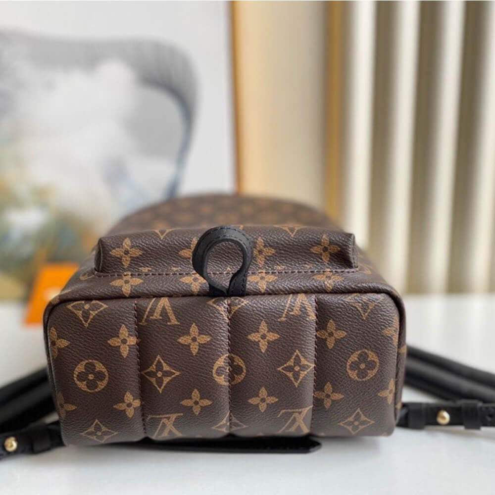 Louis Vuitton PALM SPRINGS PM M44871