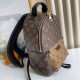 Louis Vuitton PALM SPRINGS PM M44870