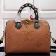 Louis Vuitton SPEEDY BANDOULIERE 25 M45840