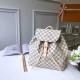 Louis Vuitton SPERONE N41578